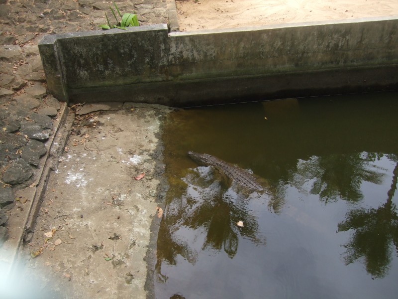 Mauritius 2010 - 0319 